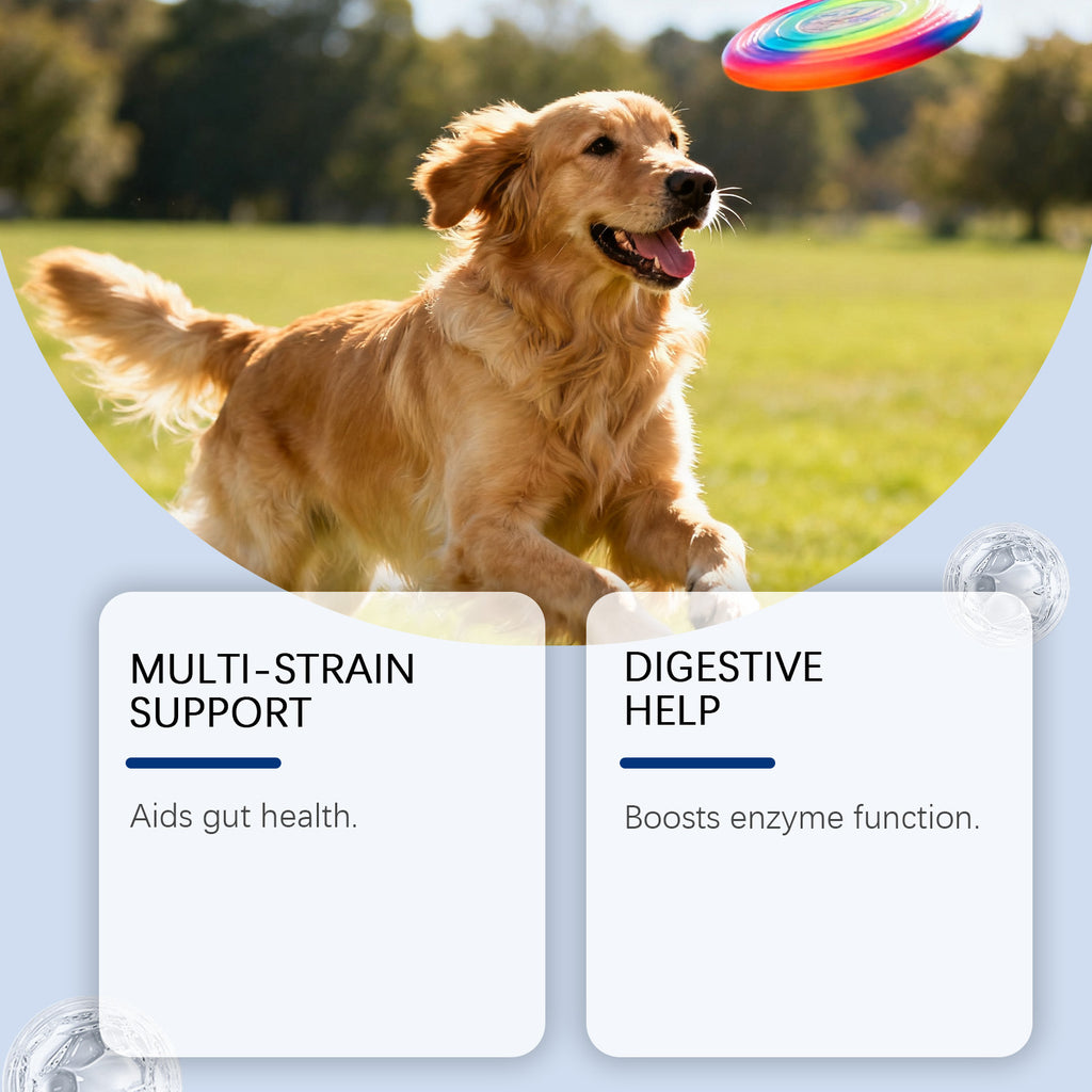 Dog probiotic soft granules