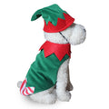 Dog Halloween costume with funny costumes