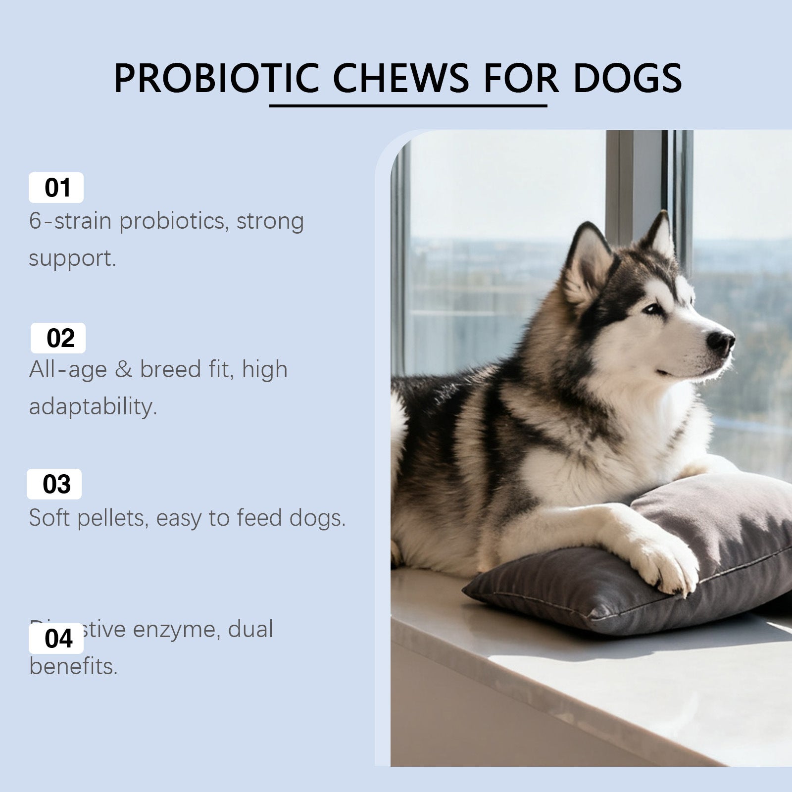 Dog probiotic soft granules